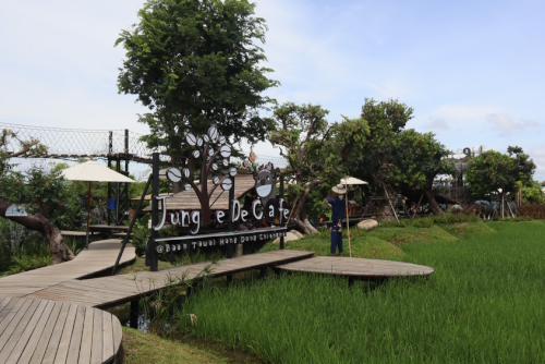 Baan Tawai Woodcarving Craft Village, Chiang Mai | Travel with Joy