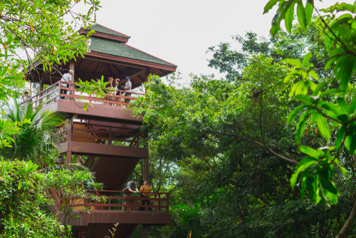 A bird watching tower with people on it among trees in Sri Nakhon Khuean Khan Park and Botanical Garden in Bang Krachao, Bangkok, Thailand