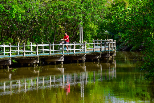 A man is biking on the bike path besides the canal at Bang Kachao Park, Bangkok, Thailand