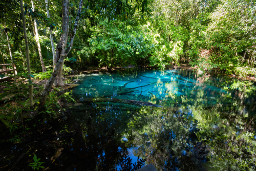 Blue-Pool_in Thung-Teao-forest-national-park, Krabi Province, Thailand, Travel with Joy