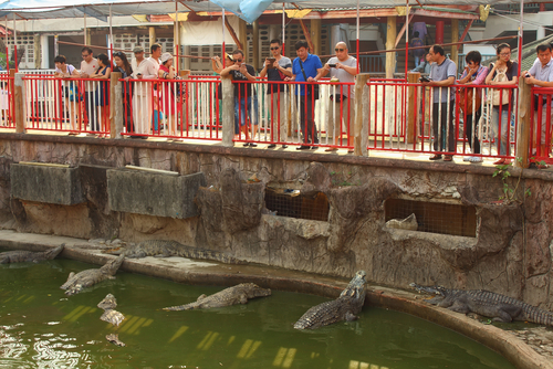 Samutprakan Crocodile Farm and Zoo - the world's largest crocodile farm located 10 km from Bangkok, Thailand