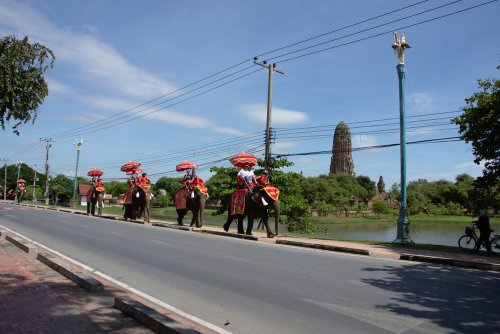 Elephants-Ride-at-Ayutthaya north of Bangkok, Thailand
