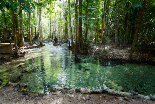 Emerald Pool_Thung Teao forest national park