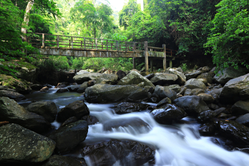 Kaeng Krachan National Park Landscape | Travel with Joy