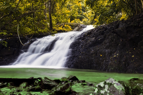 Khao-Phanom-Bencha-National-Park in Krabi Province, Thailand, Travel with Joy