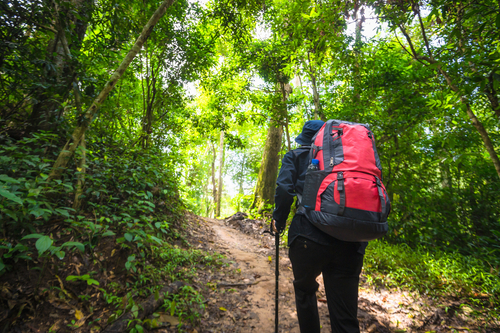 Hiking a trail in in Khao Yai National Park near Bngkok, Thailand