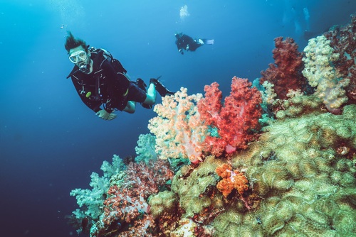 Diving in Koh Lanta in the Andaman Sea off Krabi Peninsula, Thailand, Travel with Joy