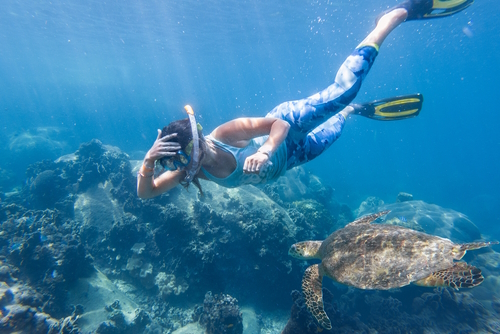 Diving in Koh-Tao, Gulf Of Thailand, Thailand