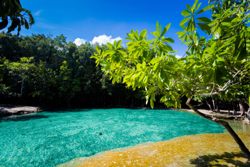 View on Emerald Pool in Krabi in southern Thailand. Landscape taken in beautiful Thung Teao forest national park in south east Asia