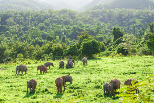 Kui Buri National Park View, Thailand | Travel with Joy