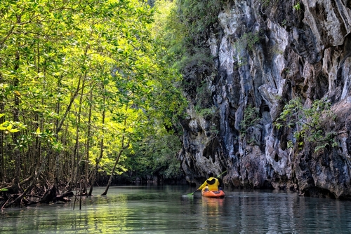 Kayaking in Mangrove Forest in Railay peninsula, Krabi Province, Thailand, Travel with Joy
