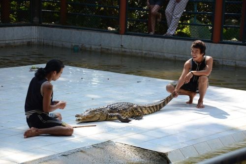 Namuang-safari-park in koh-Samui, Gulf of Thailand, Thailand, Travel with Joy