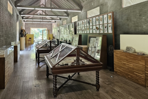 Mrigadayavan Royal Summer Palace near Hua Hin, Thailand