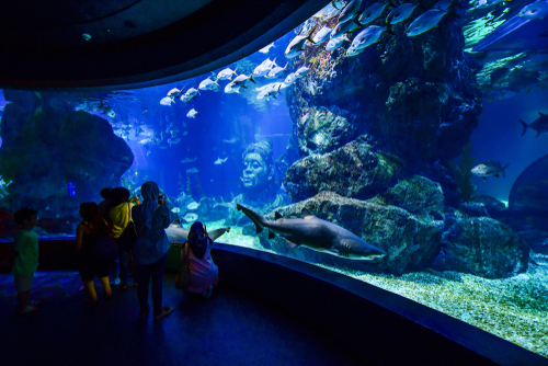 Sea Life Bangkok Ocean World Aquarium in the shopping center of Siam Paragon, Thailand