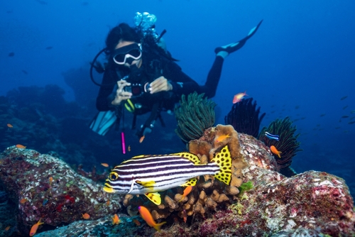 Similan-Islands heaven for divers near Phuket, Thailand, Travel with Joy