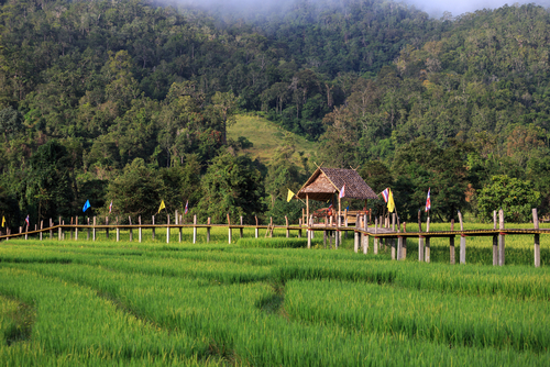 destination