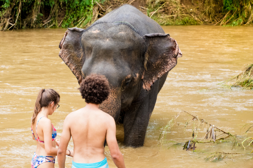Elephant Camp in Pai west of Chiang Rai, Thailand, travel with Joy