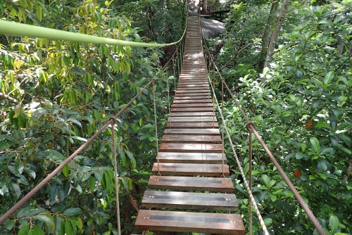 Zipline-Adventures-Phuket, Thailand, Travel with Joy
