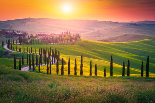 Well known Tuscany landscape with grain fields, cypress trees and houses on the hills at sunset. Summer rural landscape with curved road in Tuscany, Italy