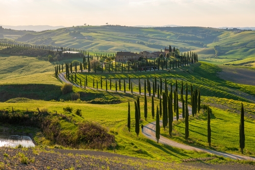 Panoramic view of a farmhouse near Asciano with Val d'Orcia hills in the background, Tuscany, Italy