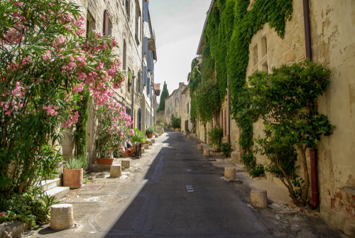 Sunny alley with flowers in Villeneuve-lès-Avignon, Provence, France