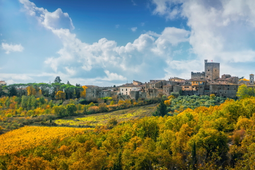 Vineyard and autumn foliage in the old medieval village of Castellina in Chianti Classico region, Tuscany, Italy