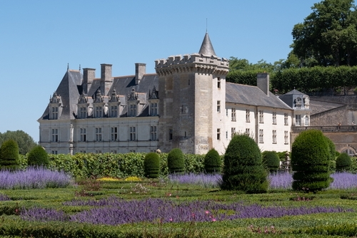 Chateau de Villandry in the Loire Valley. Photo taken from the ornamental garden with purple Russian Sage Perovskia flowers in the foreground, Loire Valley, France