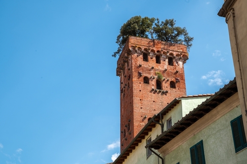 Amazing view of the Guinigi tower in the historic center of Lucca, it's characterized by the red bricks and the trees that grow on its top. Beautiful summer day in Lucca, Tuscany, Italy