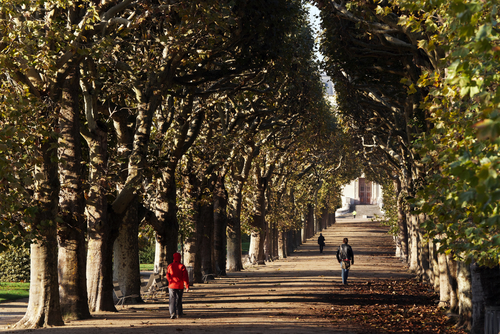 View of the Jardin des plantes garden in Paris, France