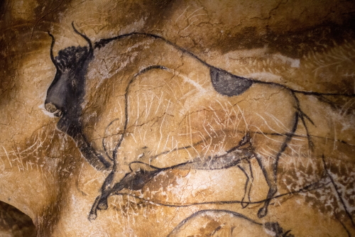 Vallon Pont d'Arc, Paleolithic wall art in the famous Grotte Chauvet in France. Representation of a bison, Provence, France