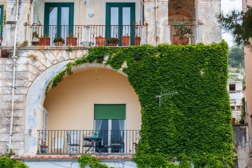 View of houses and greenary at the town of Minori, Amalfi Coast, Campania, Italy
