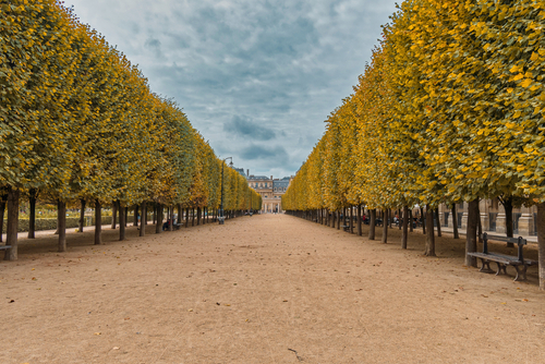 Garden in Palais-Royal Palace, Paris, France