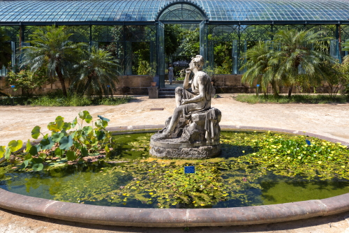 The Botanical Garden (Orto Botanico) of Palermo is among the oldest modern centers for botanical studies in the Mediterranean region, Sicily, Italy