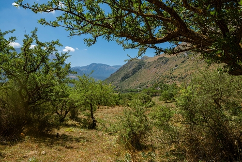 Trees and mountains at Madonie Regional Natural Park (Parco delle Madonie) near Palermo, Sicily, Italy