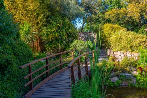 View of a wooden bridge in the La Mortella Gardens on the Island of Ischia near Naples, Campania, Italy