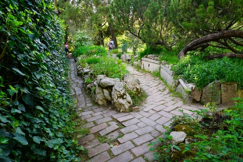 View of the landmark Orto Botanico di Padova at the University of Padua, the world's oldest academic botanical garden. It is a UNESCO World Heritage Site, Padova, Veneto, Italy