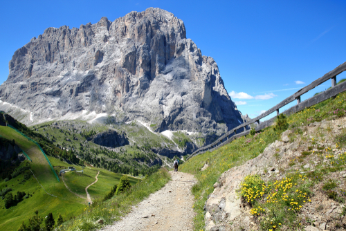 Sassolungo mountain viewed from a hiking path close to the top of Ciampinoi cable car above Selva, Val Gardena, Dolomites, Trentino Alto Adige, Italy