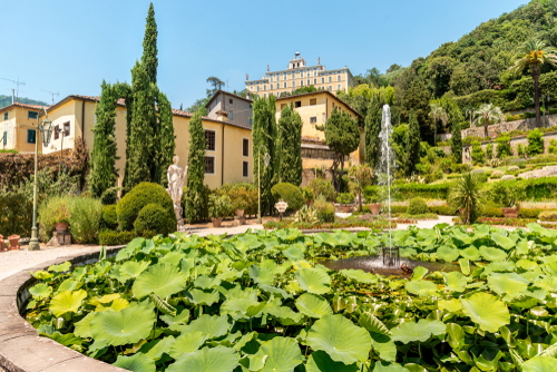 View of a fountain and water plants at the historic Garden Garzoni in Collodi in the municipality of Pescia, province of Pistoia in Tuscany, Italy