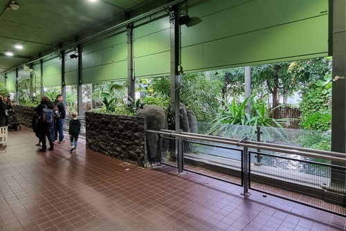 People walking through the Reptile house at ARTIS zoo, home of the spurious gharial, Amsterdam, The Netherlands