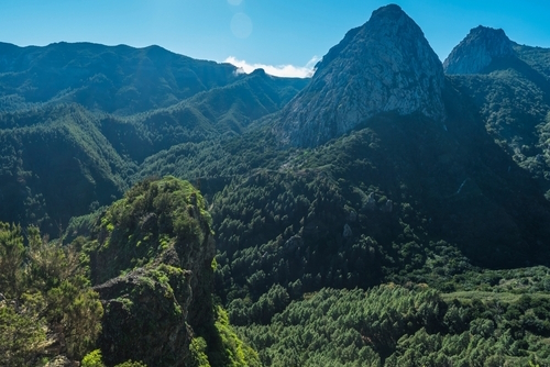 Scenic view from hiking trail to La Laja with volcanic rock formation Roque de Ojila and Roque de Zarcita in pine laurel tree forest, Garajonay National Park, La Gomera Island, The Canary Islands, Spain