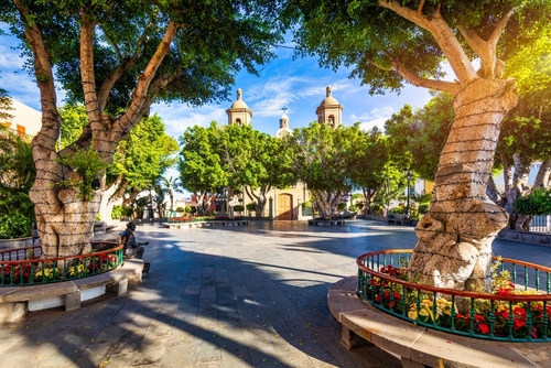 Beautiful trees in the historic centre of Aguimes town in Gran Canaria Island, Canary Islands, Spain
