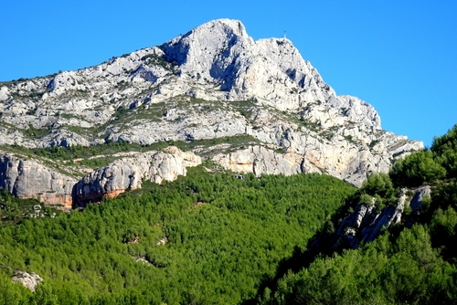 Sainte Victoire mountain, peak above the forest, near Aix en Provence, Provence, France