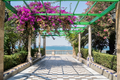 Beautiful colorful flowers at the Alameda de Apodaca public park in Cadiz, Andalusia, Spain