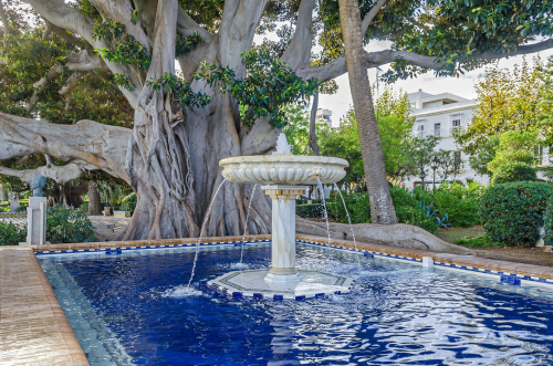 Alameda de Apodaca, a public park and an example of the eclectic style of Regionalism in Cadiz, with giant Ficus trees, a fountain and a pool decorated with Seville ceramic tiles. Andalusia, Spain