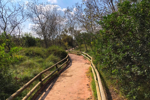 Pathway at the Parc Natural de S'Albufera in Alcudia region, Mallorca Island, Balearic Islands, Spain