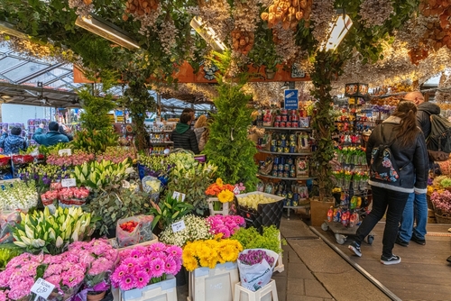 People visiting the flower market in Amsterdam, Netherlands. Bloemenmarkt is the famous flower market floating on canal Singel