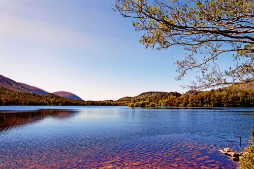 Beautiful view of Loch an Eilein, Rothiemurchus, Cairngorms National Park, Scotland, United Kingdom