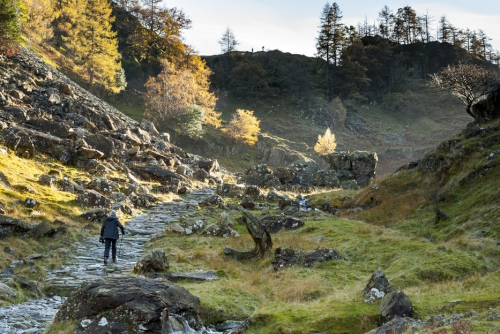 Beautiful scenery and mountains in the background in the Borger Dalr Trail geology walk, Borrowdale Valley near Castle Crag, the Lake District National Park, Cumbria, England, UK