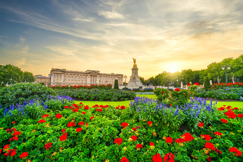 Beautiful gardens outside the Buckingham Palace, the London, England residence and administrative headquarters of the monarch of the UK. Located in the City of Westminster