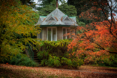 Autumn in Clyne Gardens in Swansea, South Wales, United Kingdom